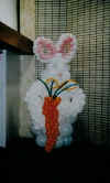 easterBunny.jpg (30515 bytes)